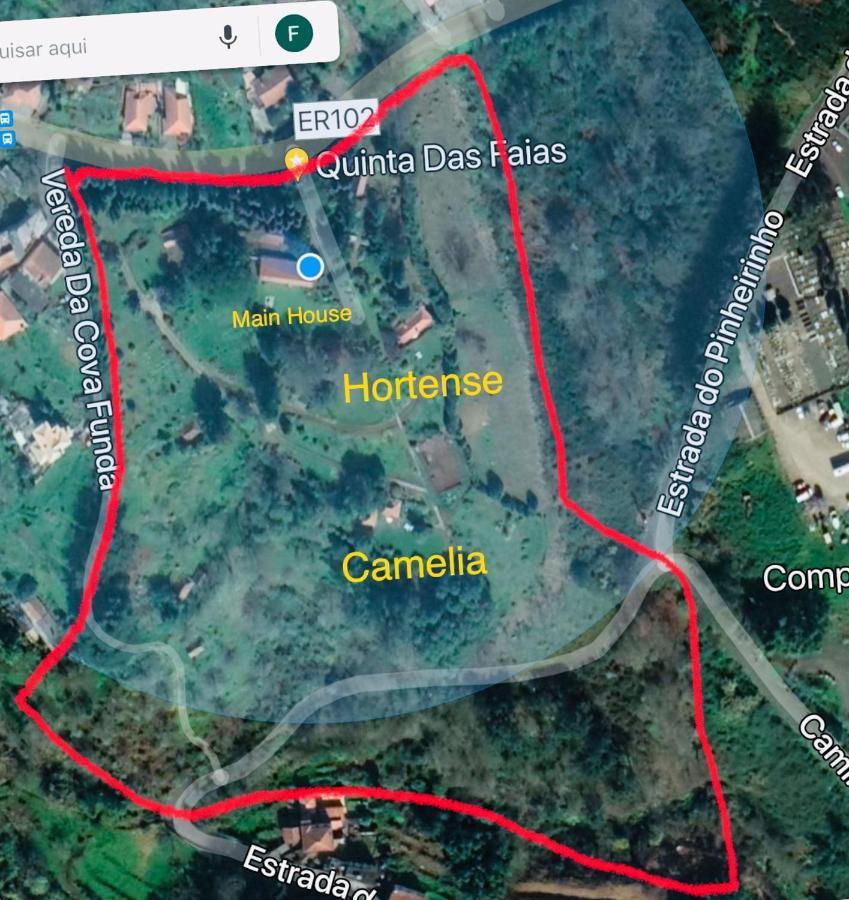 Quinta Das Faias Camacha  Esterno foto
