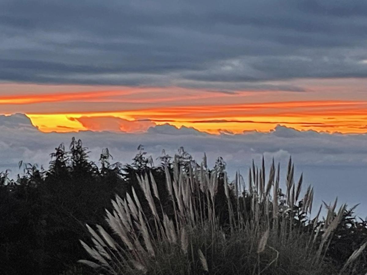 Quinta Das Faias Camacha  Esterno foto