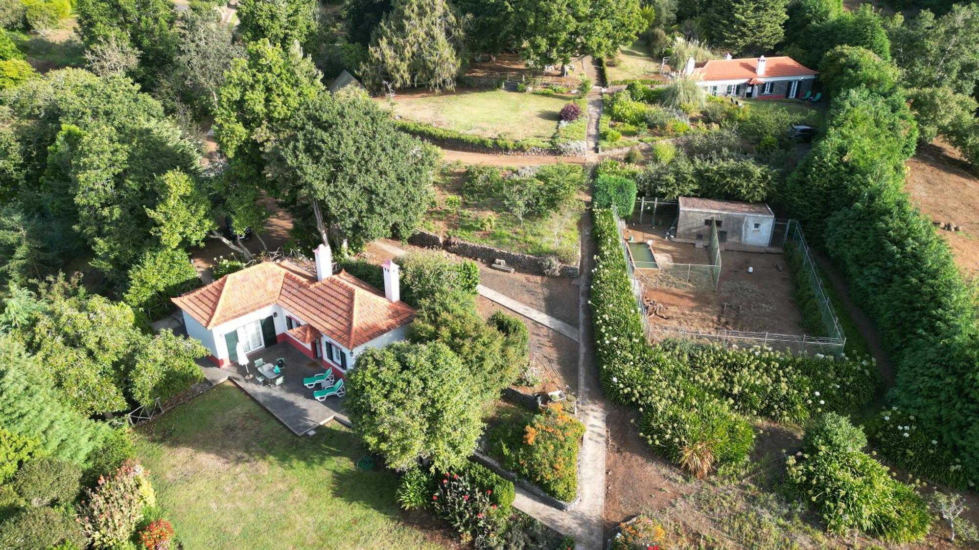 Quinta Das Faias Camacha  Camera foto