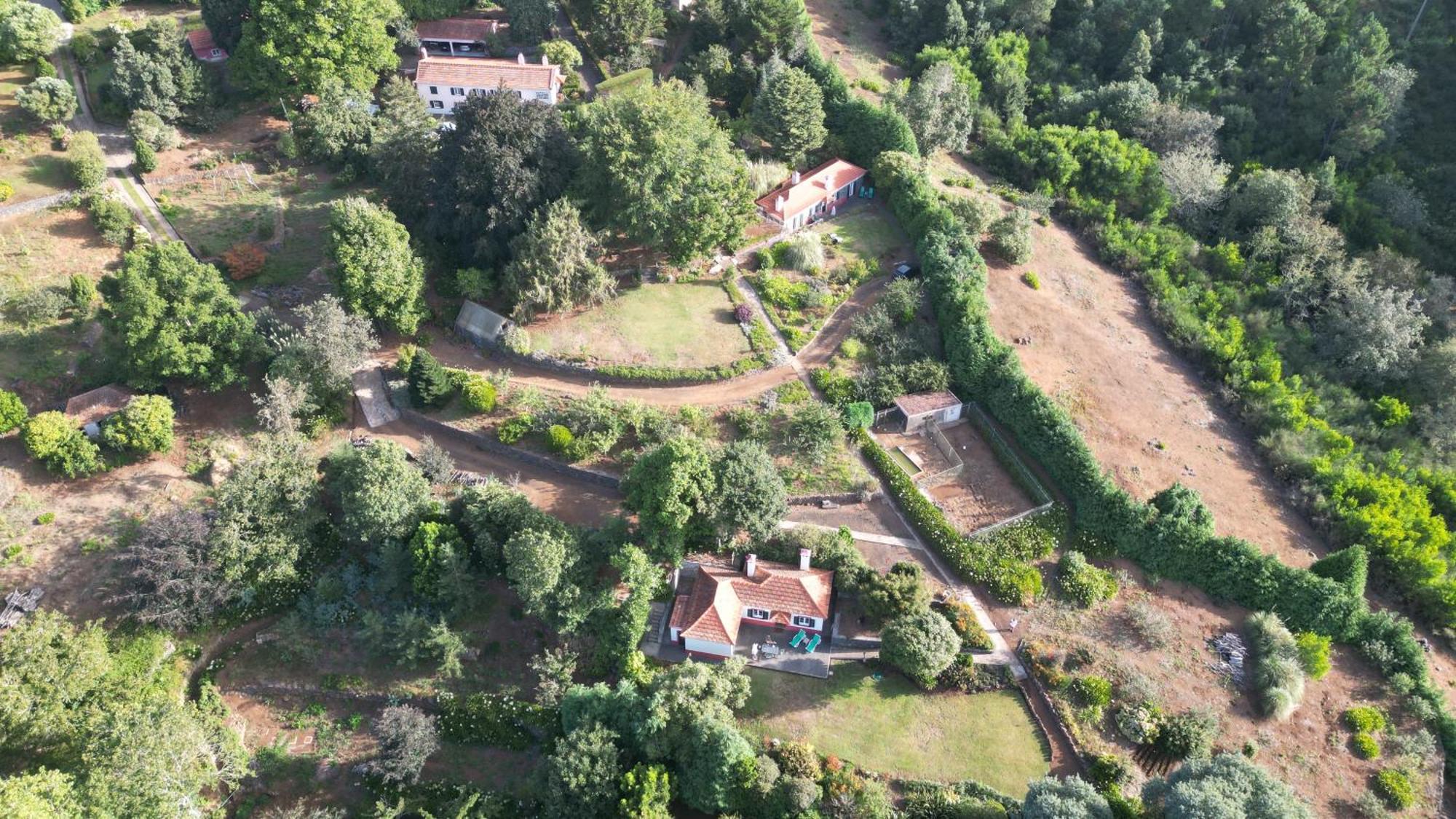 Quinta Das Faias Camacha  Esterno foto