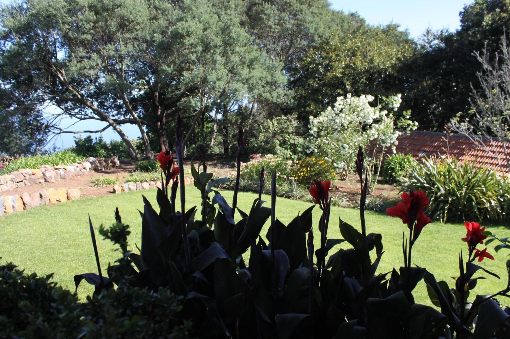 Quinta Das Faias Camacha  Camera foto