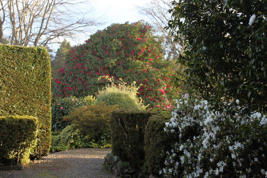 Quinta Das Faias Camacha  Esterno foto