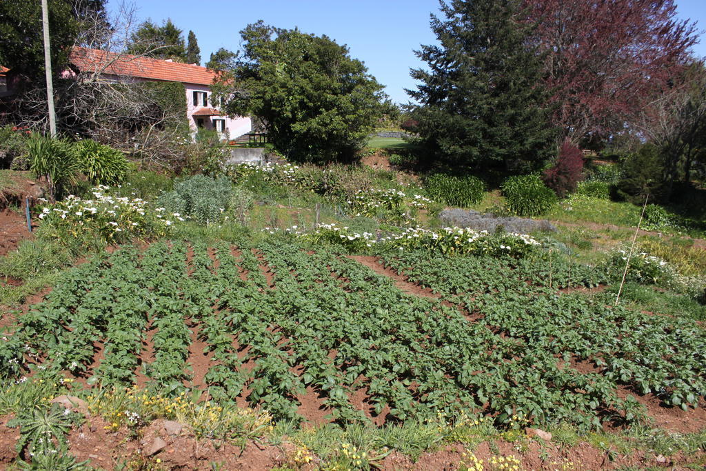 Quinta Das Faias Camacha  Esterno foto