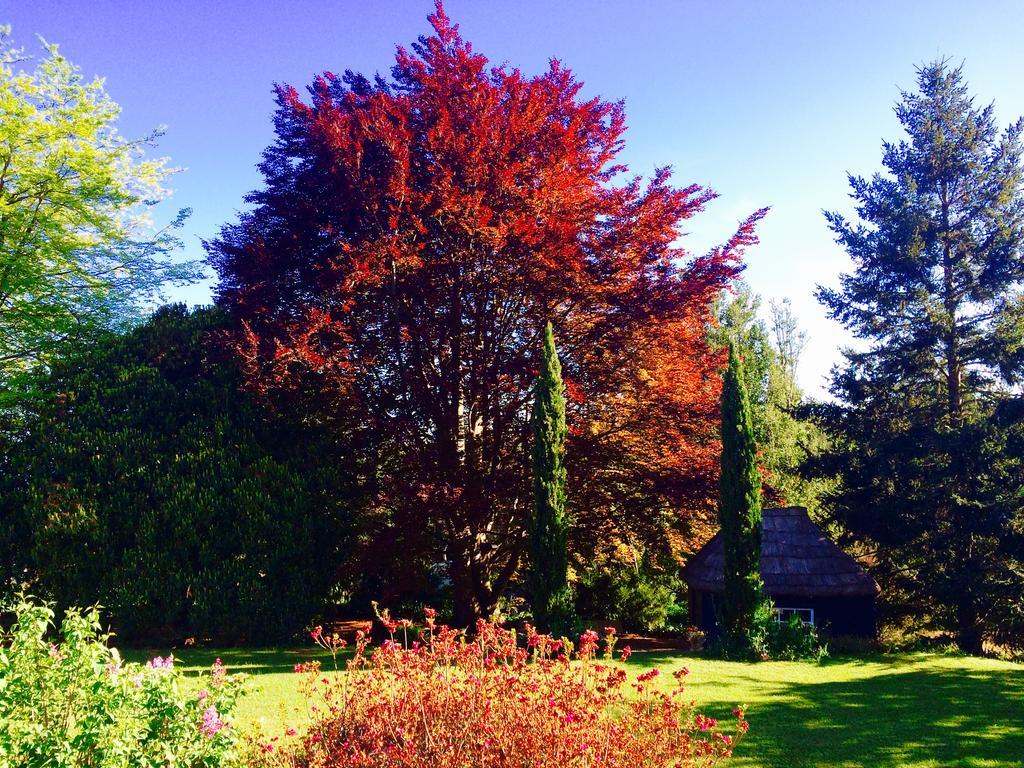 Quinta Das Faias Camacha  Esterno foto
