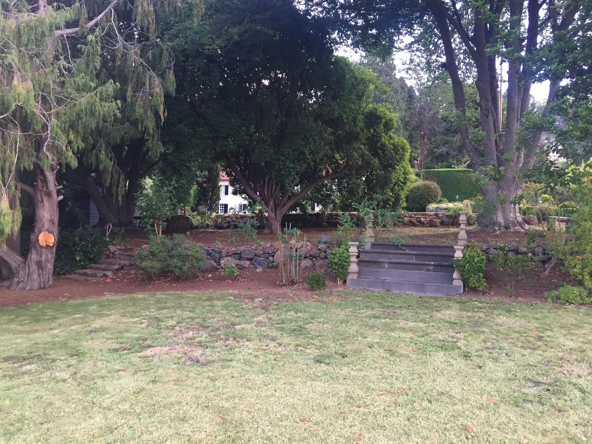 Quinta Das Faias Camacha  Esterno foto