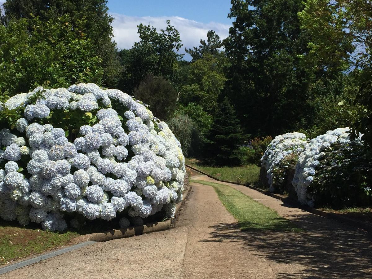 Quinta Das Faias Camacha  Esterno foto