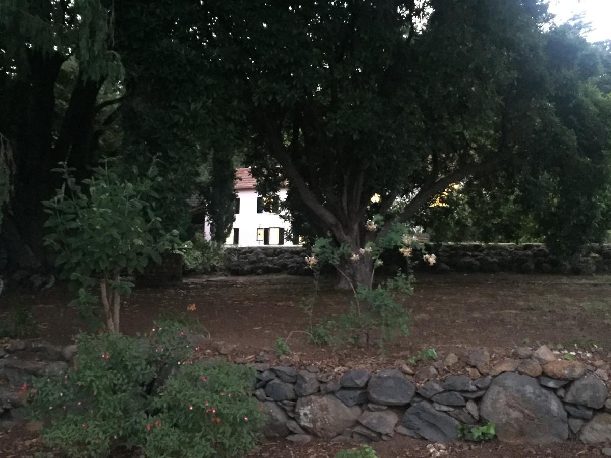 Quinta Das Faias Camacha  Esterno foto